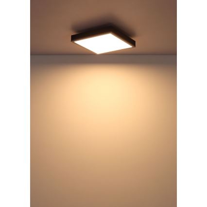 Globo - LED taklampa LED/12W/230V 3000K 30x30 cm