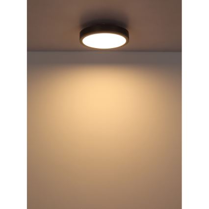 Globo - LED taklampa LED/12W/230V 3000K diameter 30 cm