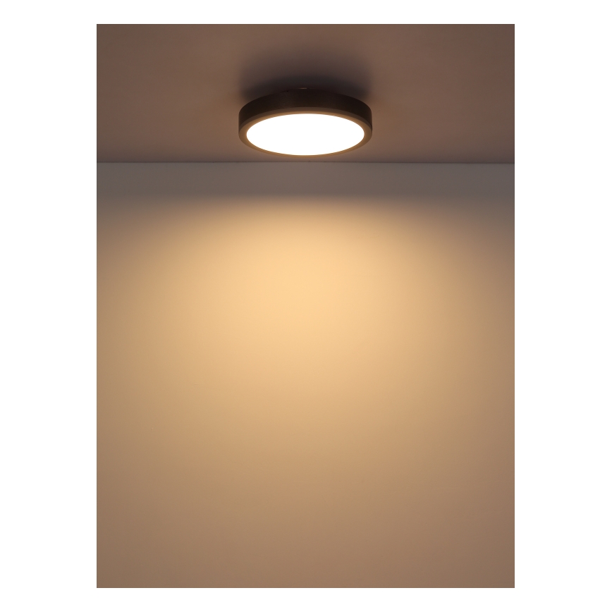 Globo - LED taklampa LED/12W/230V 3000K diameter 30 cm