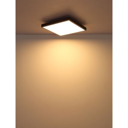 Globo - LED taklampa LED/24W/230V 3000K 45x45 cm