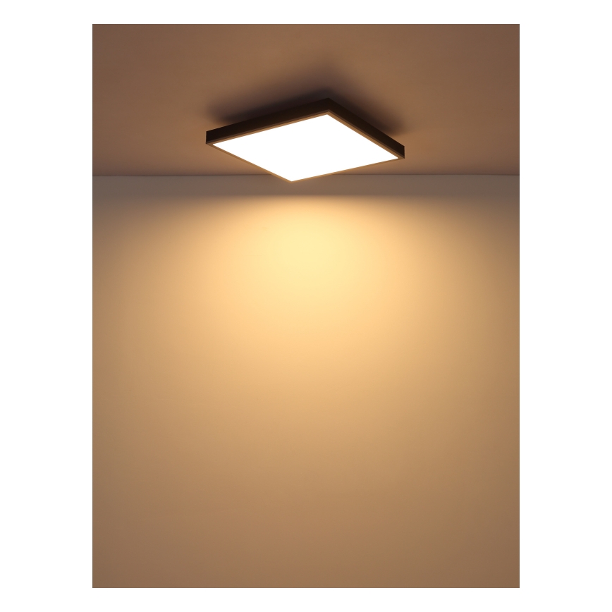 Globo - LED taklampa LED/24W/230V 3000K 45x45 cm