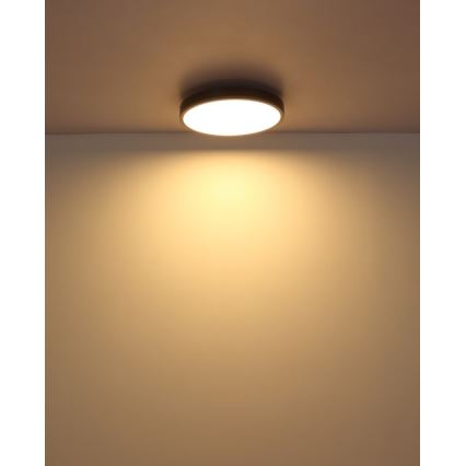Globo - LED taklampa LED/24W/230V 3000K diameter 45 cm