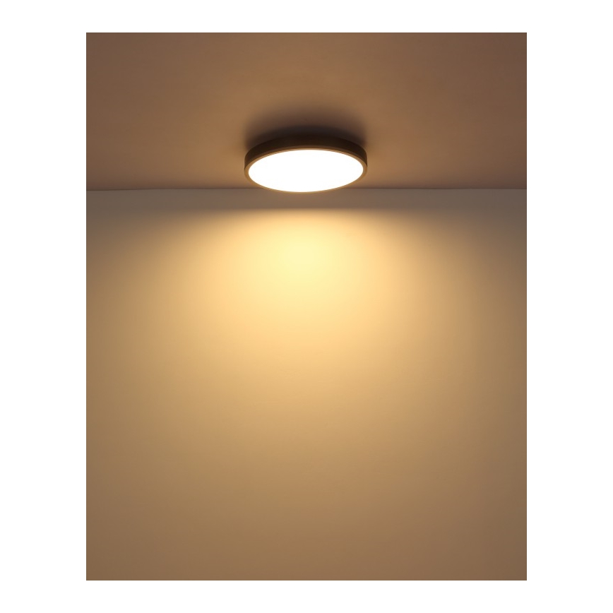 Globo - LED taklampa LED/24W/230V 3000K diameter 45 cm