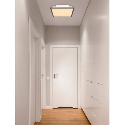 Globo - LED taklampa LED/12W + LED/4W/230V