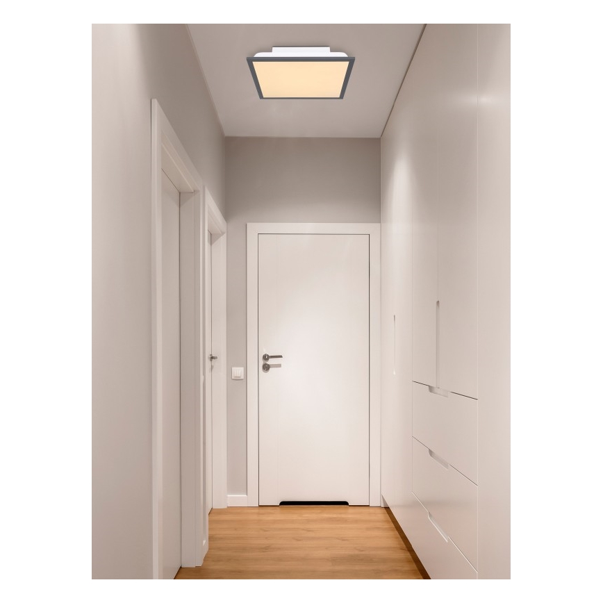Globo - LED taklampa LED/12W + LED/4W/230V