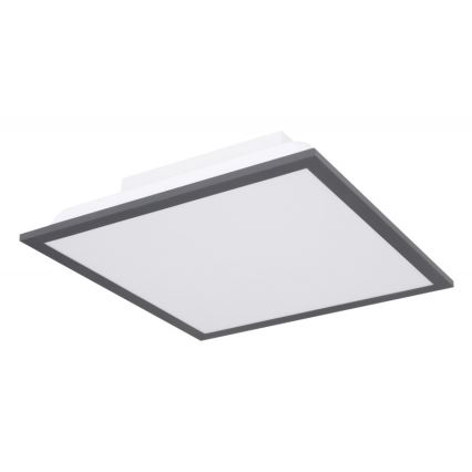 Globo - LED taklampa LED/12W + LED/4W/230V