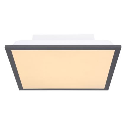 Globo - LED taklampa LED/12W + LED/4W/230V