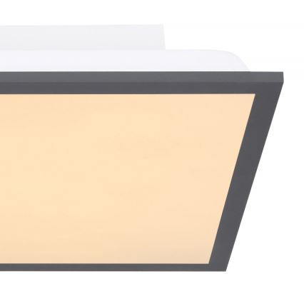 Globo - LED taklampa LED/12W + LED/4W/230V