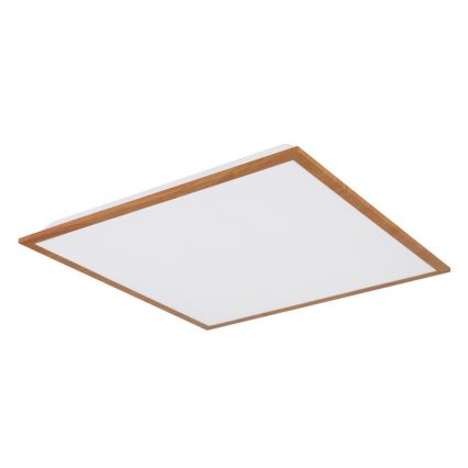 Globo - LED taklampa LED/24W/230V