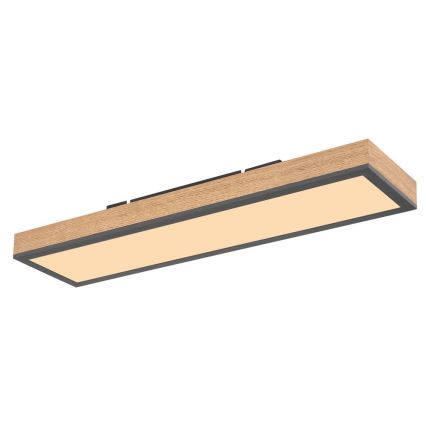 Globo - LED taklampa DORO LED/18W/230V