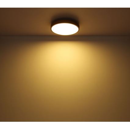 Globo - LED taklampa DORO LED/12W/230V d. 30 cm