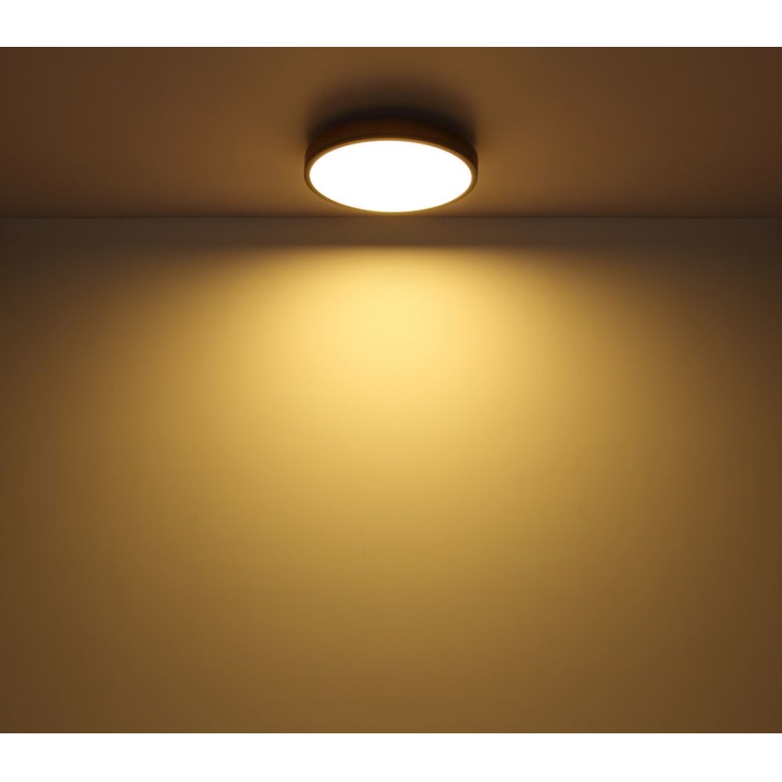 Globo - LED taklampa DORO LED/12W/230V d. 30 cm