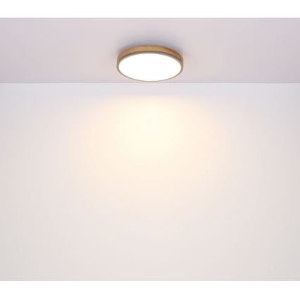 Globo - LED taklampa DORO LED/12W/230V d. 30 cm