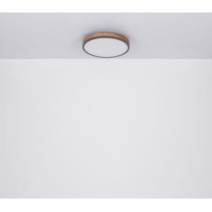 Globo - LED taklampa DORO LED/12W/230V d. 30 cm