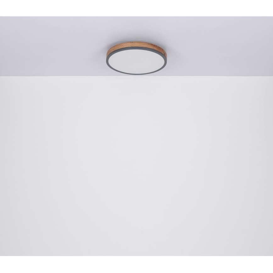 Globo - LED taklampa DORO LED/12W/230V d. 30 cm