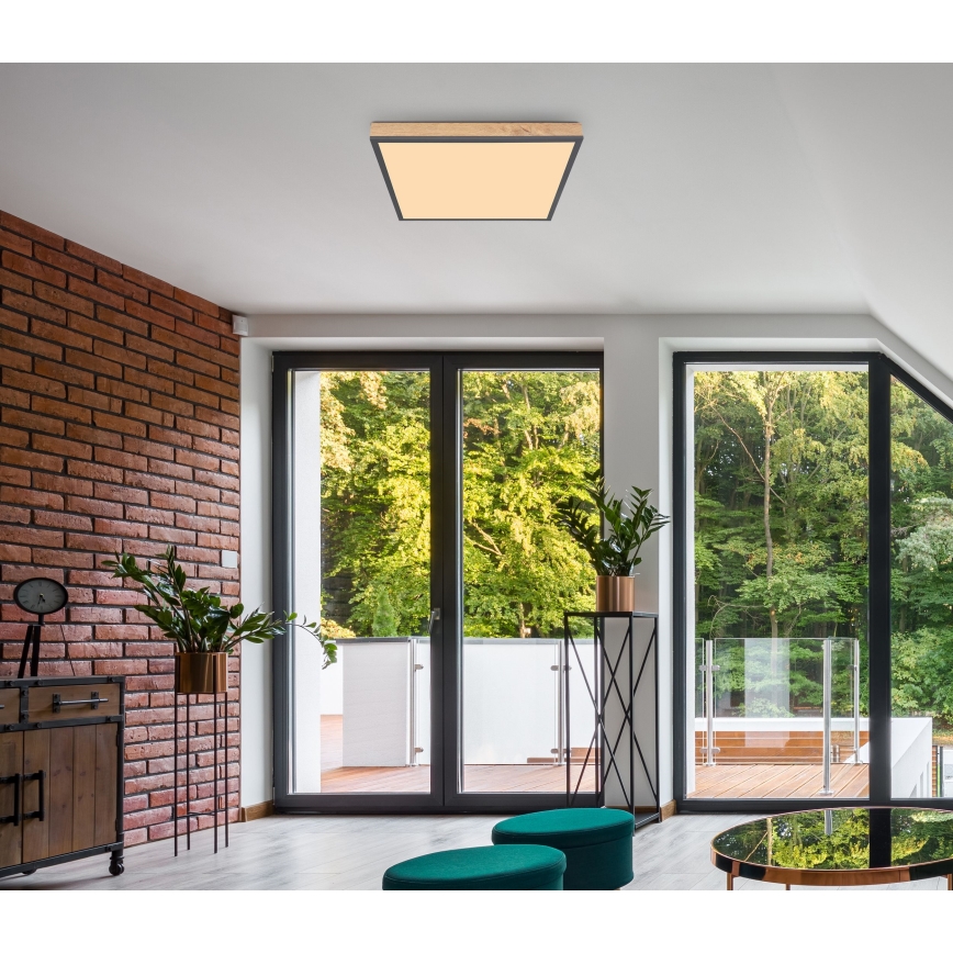 Globo - LED taklampa LED/24W/230V