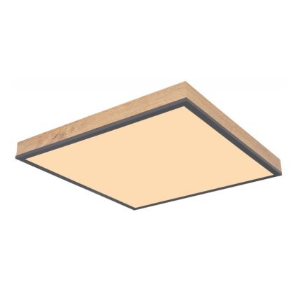 Globo - LED taklampa LED/24W/230V