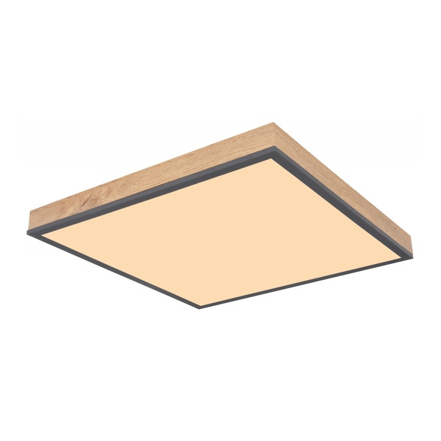 Globo - LED taklampa LED/24W/230V