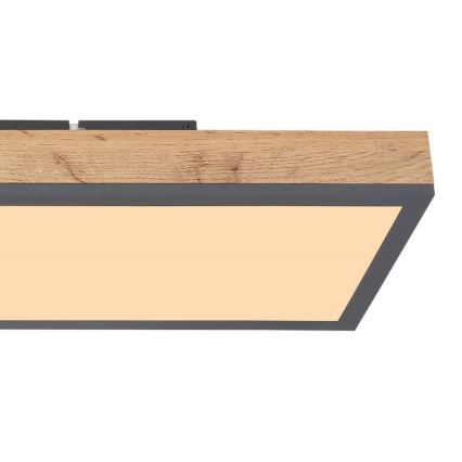 Globo - LED taklampa LED/24W/230V