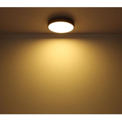 Globo - LED Dimbar taklampa LED/40W/230V 2700-6500K diameter 60 cm + fjärrkontroll brun/grå