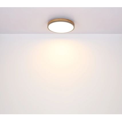 Globo - LED Dimbar taklampa LED/40W/230V 2700-6500K diameter 60 cm + fjärrkontroll brun/grå