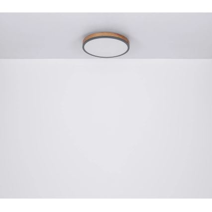 Globo - LED Dimbar taklampa LED/40W/230V 2700-6500K diameter 60 cm + fjärrkontroll brun/grå