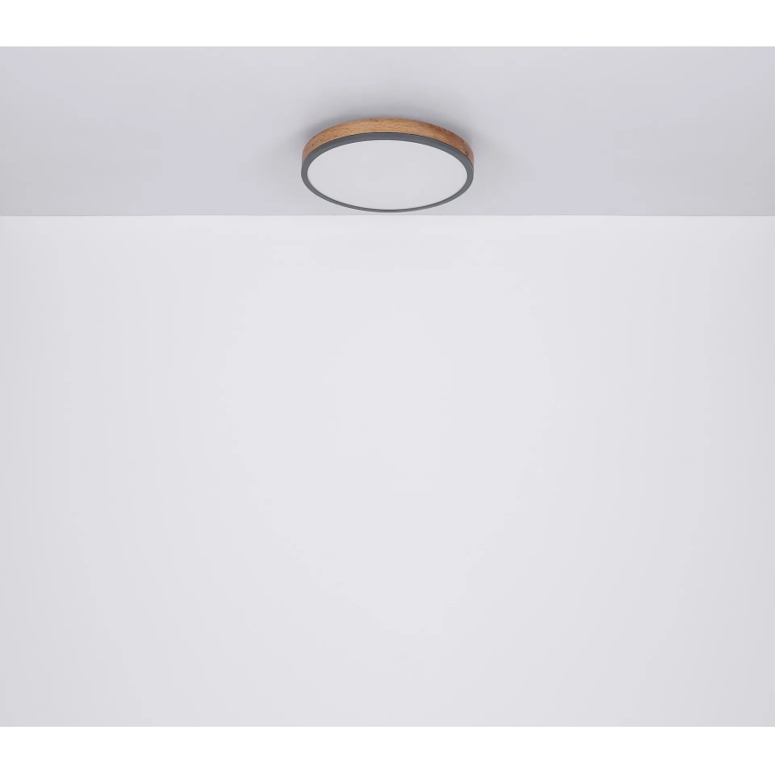 Globo - LED Dimbar taklampa LED/40W/230V 2700-6500K diameter 60 cm + fjärrkontroll brun/grå