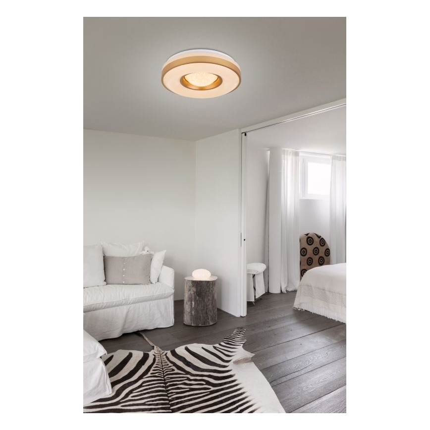 Globo - LED taklampa LED/24W/230V