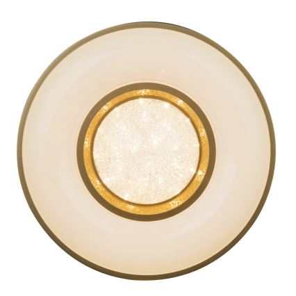 Globo - LED taklampa LED/24W/230V