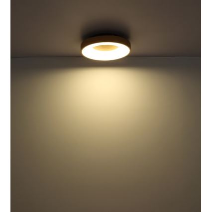 Globo - LED Dimbar taklampa LED/30W/230V + fjärrkontroll