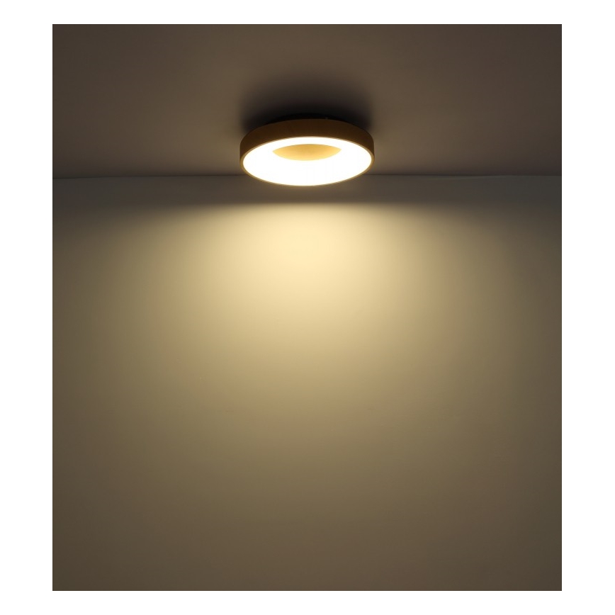 Globo - LED Dimbar taklampa LED/30W/230V + fjärrkontroll