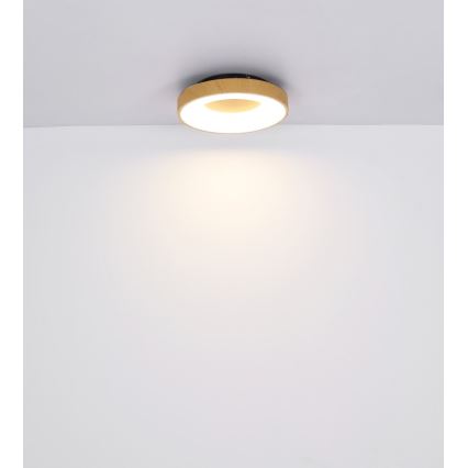 Globo - LED Dimbar taklampa LED/30W/230V + fjärrkontroll