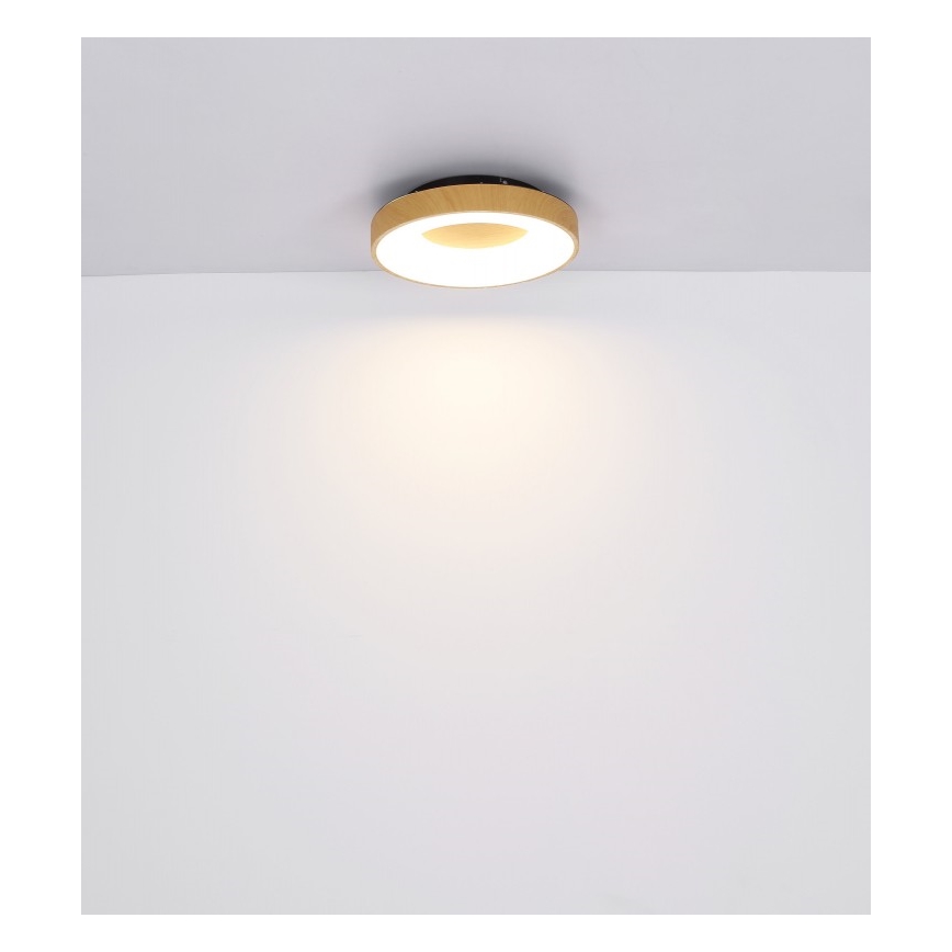 Globo - LED Dimbar taklampa LED/30W/230V + fjärrkontroll