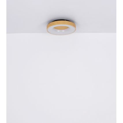 Globo - LED Dimbar taklampa LED/30W/230V + fjärrkontroll