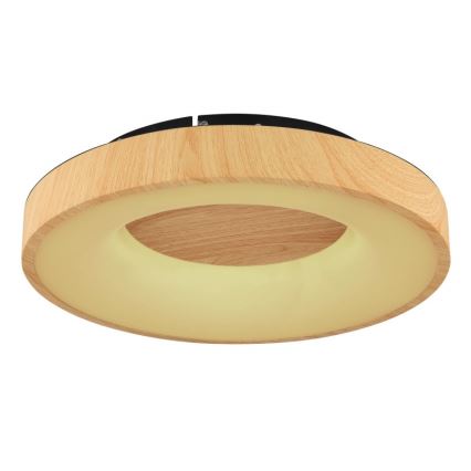 Globo - LED Dimbar taklampa LED/30W/230V + fjärrkontroll