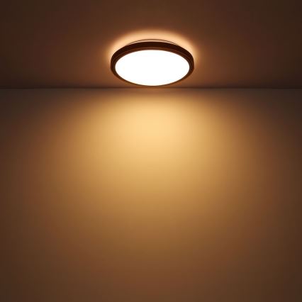 Globo - LED Taklampa  LED/12W/230V 307 mm 3000/4500/6000K