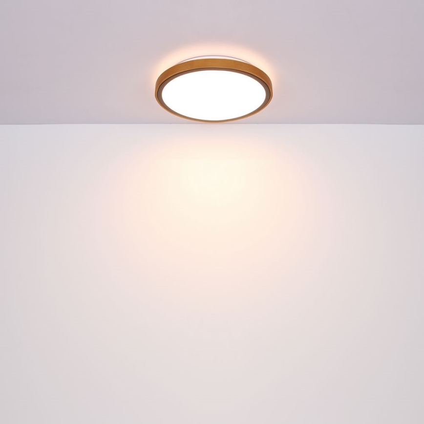 Globo - LED Taklampa  LED/12W/230V 307 mm 3000/4500/6000K