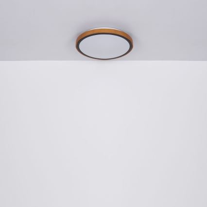 Globo - LED Taklampa  LED/12W/230V 307 mm 3000/4500/6000K