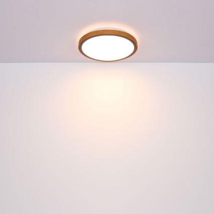 Globo - LED taklampa LED/24W/230V 3000/4500/6000K diameter 43,7 cm