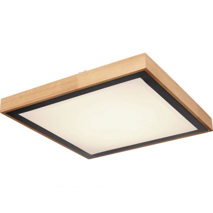 Globo - LED taklampa LED/24W/230V 3000/4500/6000K