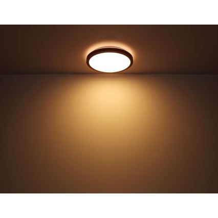 Globo - LED taklampa LED/12W/230V 3000/4500/6000K diameter 30 cm