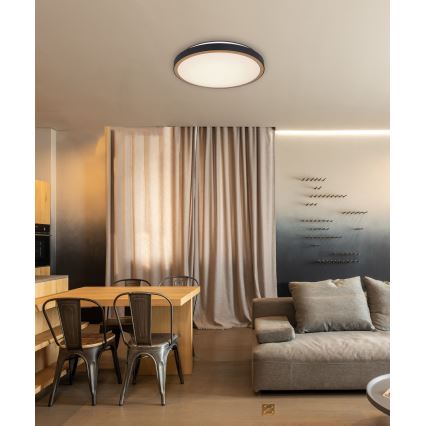 Globo - LED taklampa LED/24W/230V 3000/4500/6000K diameter 42 cm