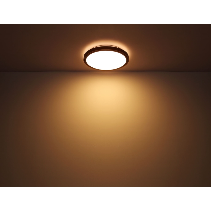 Globo - LED taklampa LED/12W/230V 3000/4500/6000K diameter 30 cm