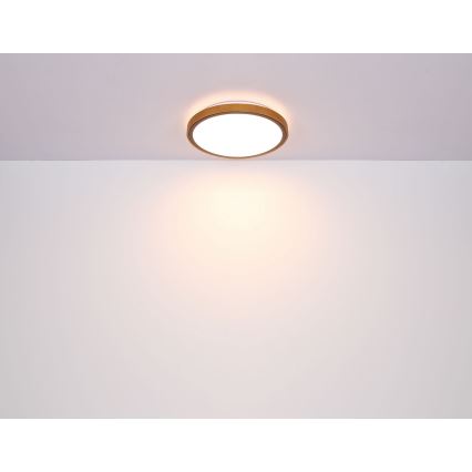 Globo - LED taklampa LED/12W/230V 3000/4500/6000K diameter 30 cm