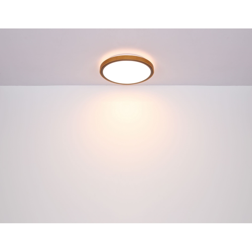 Globo - LED taklampa LED/12W/230V 3000/4500/6000K diameter 30 cm