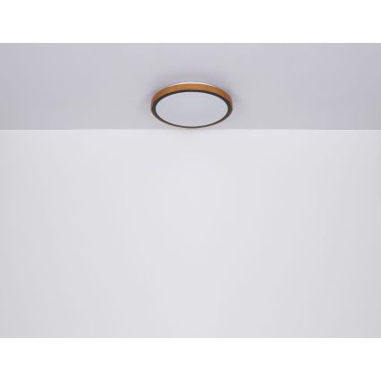 Globo - LED taklampa LED/12W/230V 3000/4500/6000K diameter 30 cm