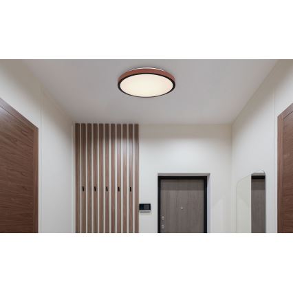 Globo - LED taklampa LED/24W/230V 3000/4500/6000K diameter 42 cm