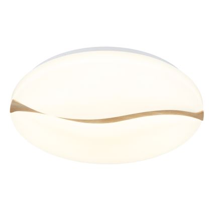 Globo - LED Taklampa LED/24W/230V 3000/4200/6000K Ø 33 cm