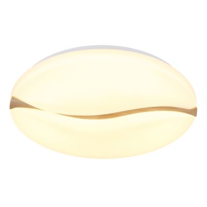 Globo - LED Taklampa LED/24W/230V 3000/4200/6000K Ø 33 cm