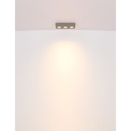 Globo - LED taklampa LED/14W/230V 11,7x33,2 cm